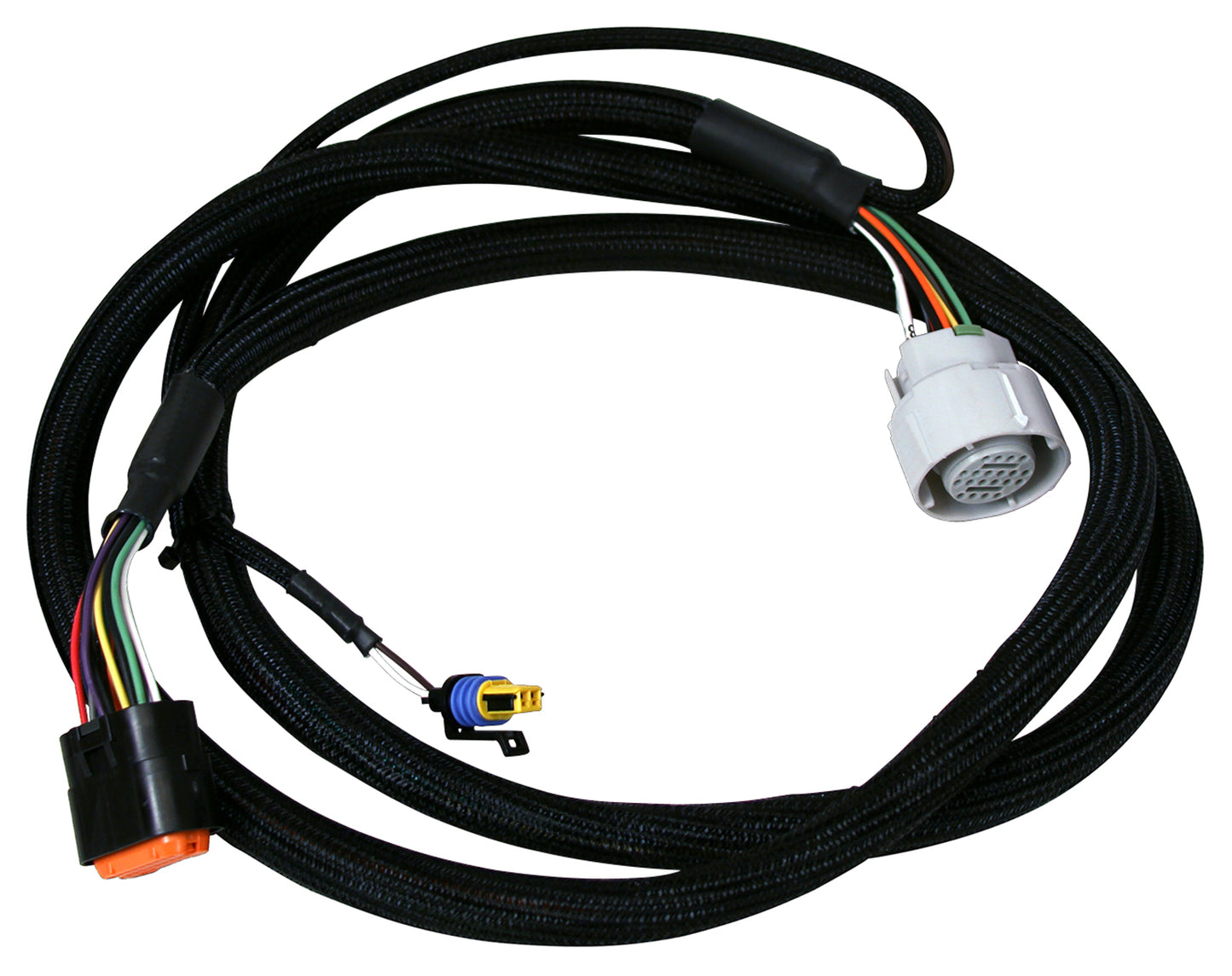 2770_v1.jpg
