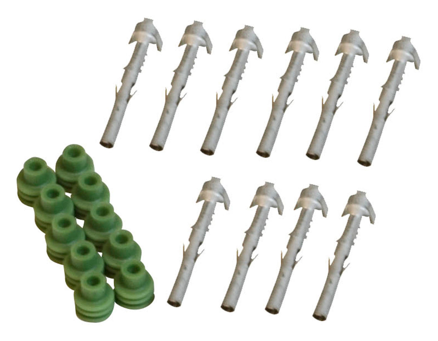 8191.jpg