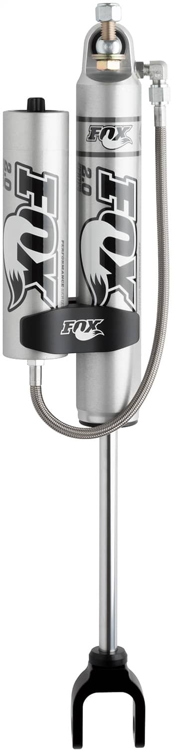 FOX-980-24-964_01.jpg