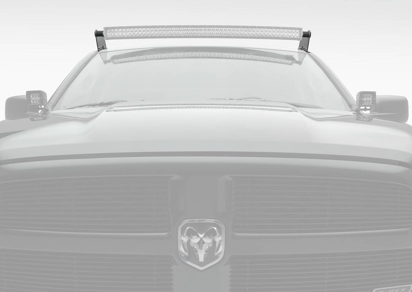 TRE-Z331121_01.jpg