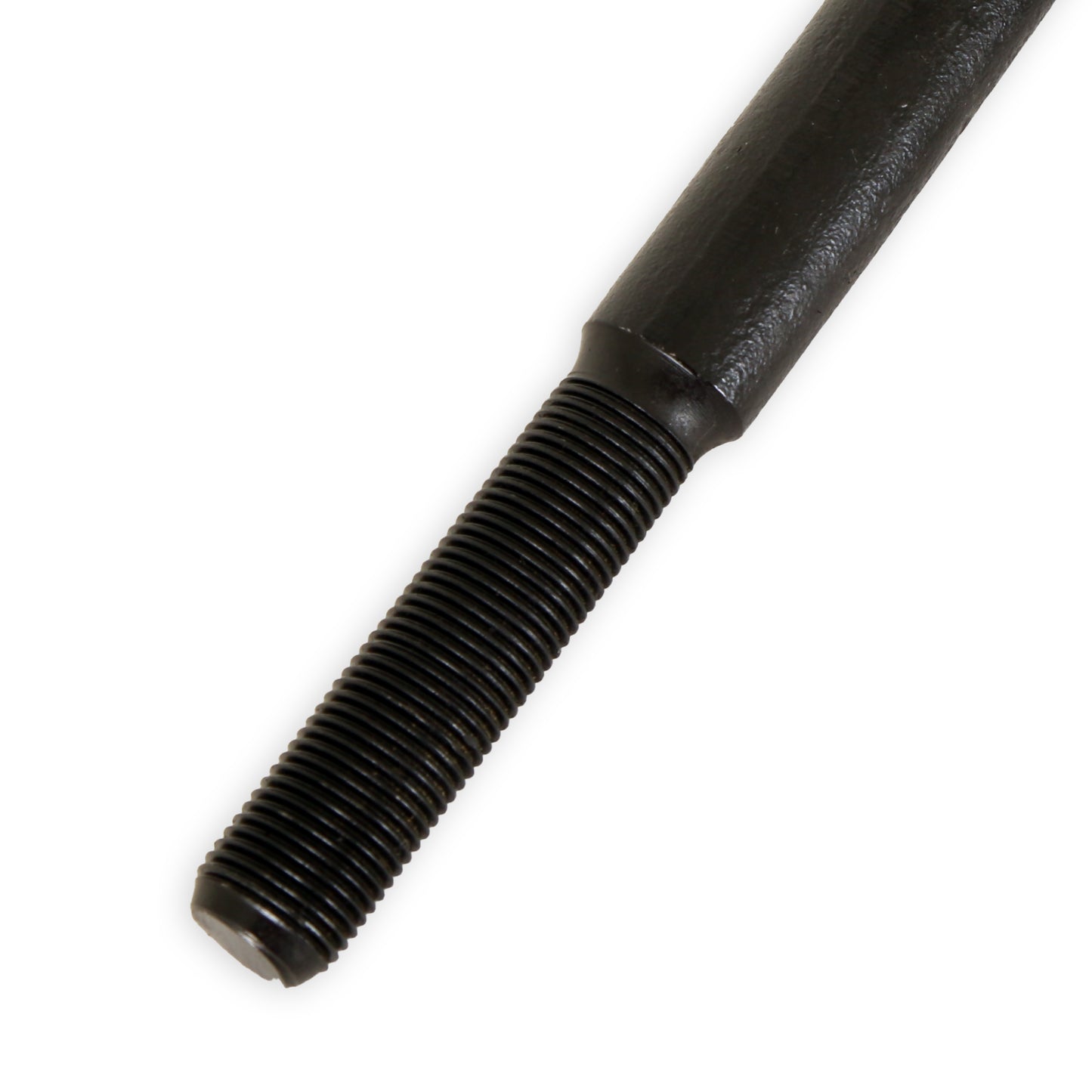 TRI6364_04.jpg