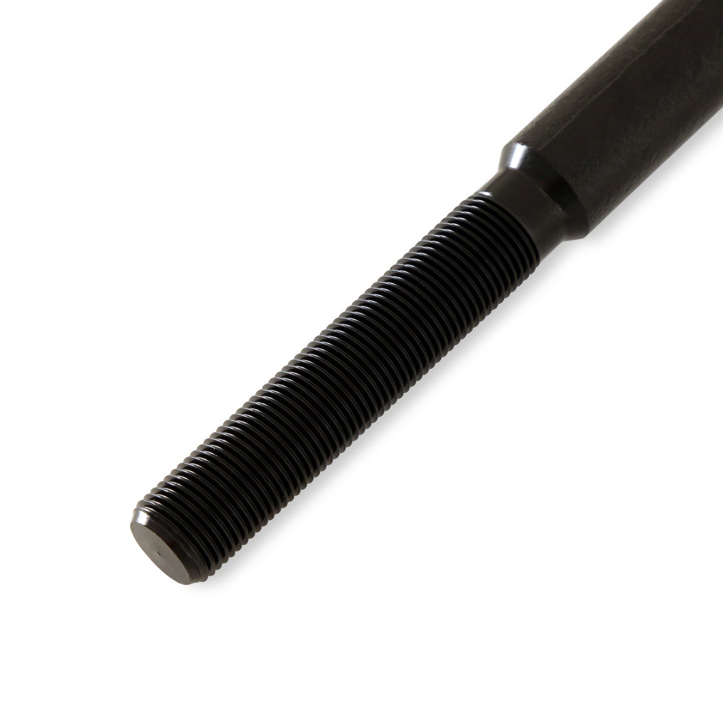 TRI6566_04.jpg