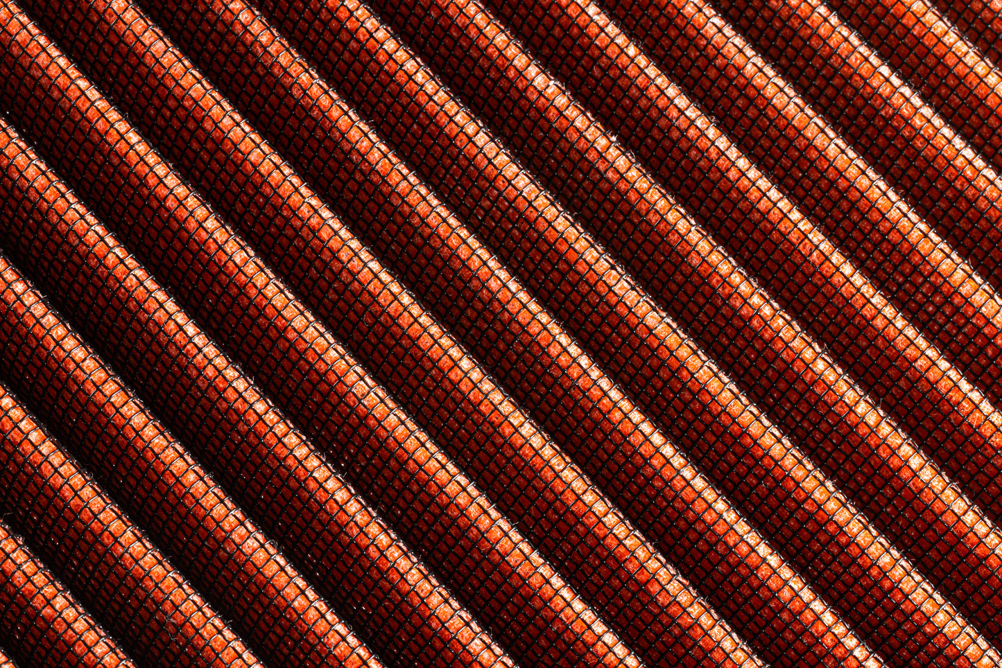 rf100023_005.jpg