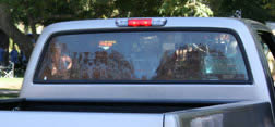 rgr87lgclear_01.jpg
