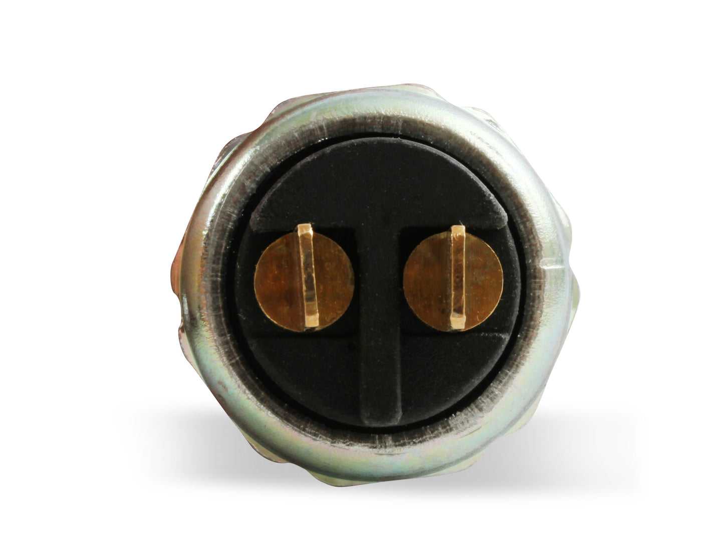 100186erl_05.jpg