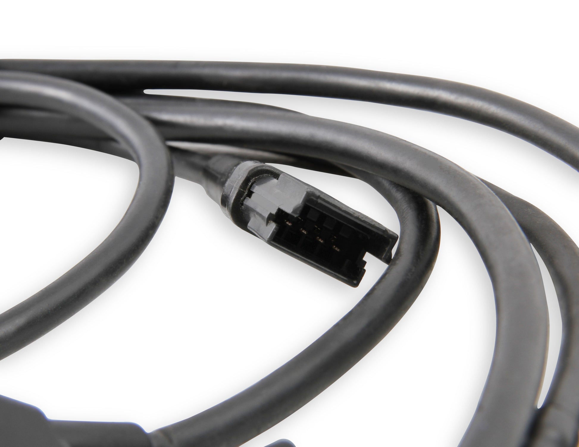 1bblharness_03.jpg