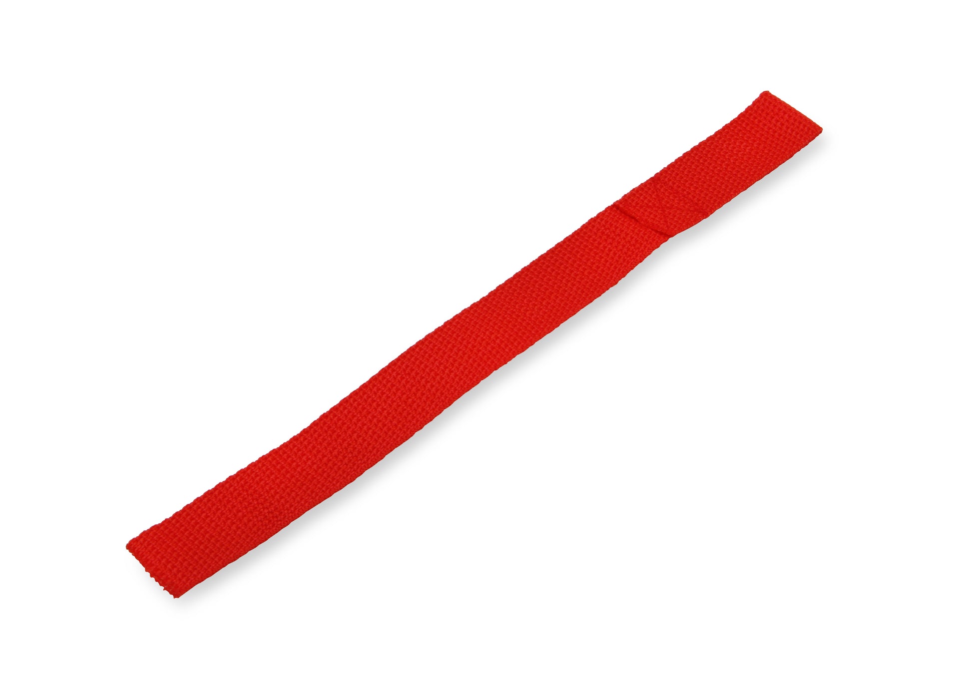 2010aor_07.jpg