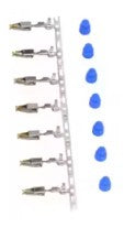 2843.jpg