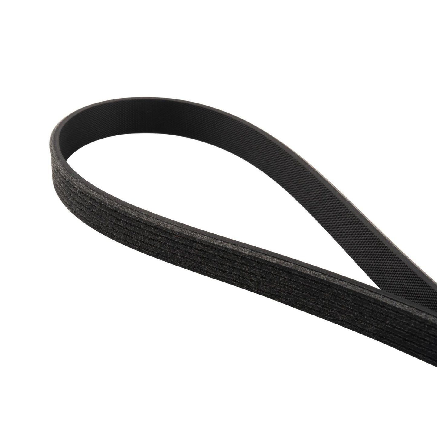 Serpentine Belt - 2011-2023 Ford 5.0/5.2L Mustang 6 Rib A/C Belt 6PK851 Pacific Performance Engineering