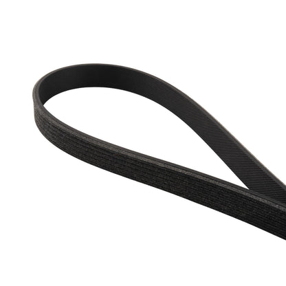 Serpentine Belt - 2011-2023 Ford 5.0/5.2L Mustang 6 Rib A/C Belt 6PK851 Pacific Performance Engineering