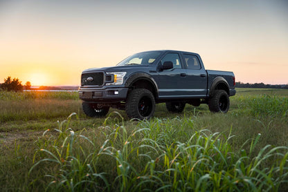 Defender Fender Flares | TB Real Steel | Ford F-150 2WD/4WD (2015-2020)