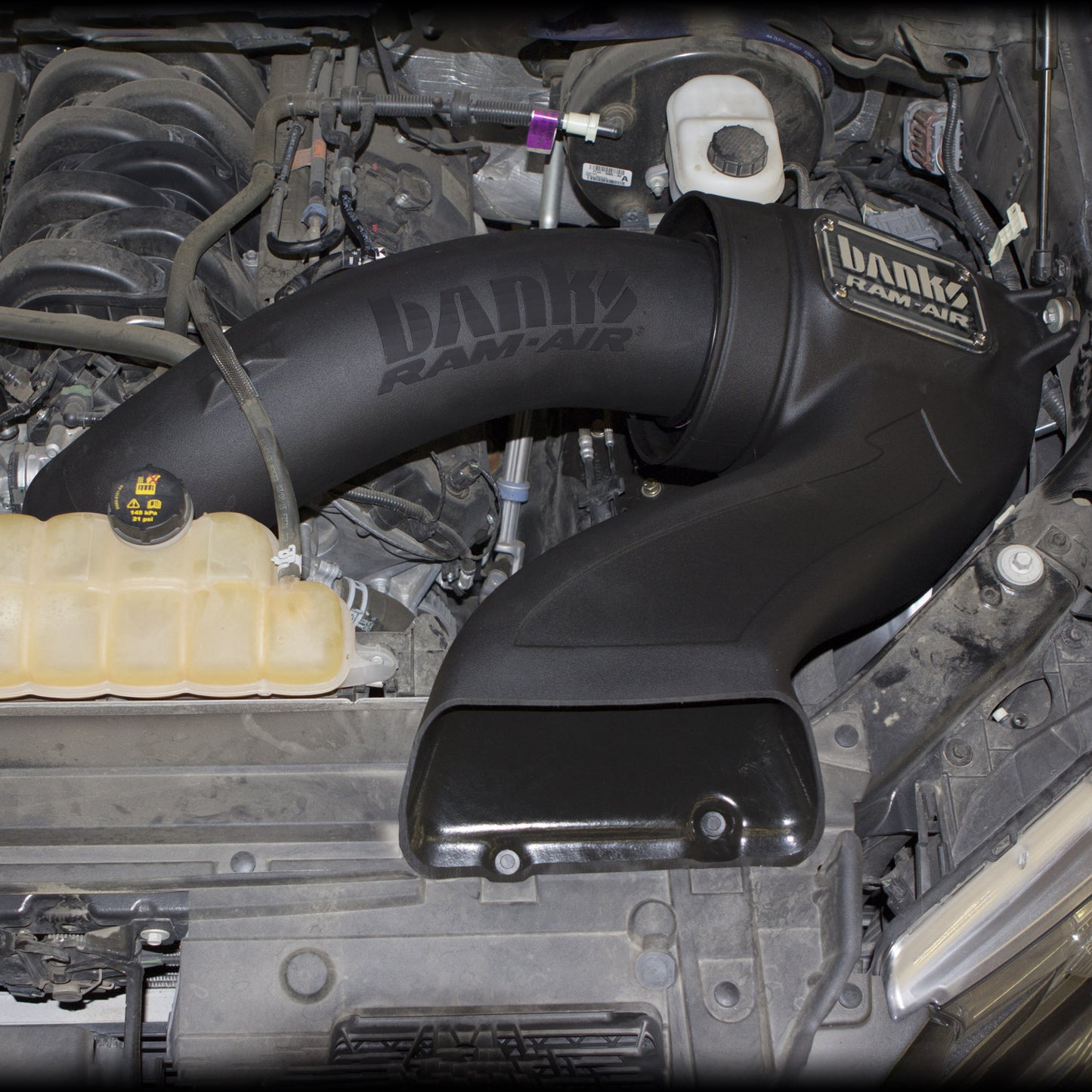 Ram Air Intake System Dry Filter 15-20 Ford F150 5.0L Banks Power