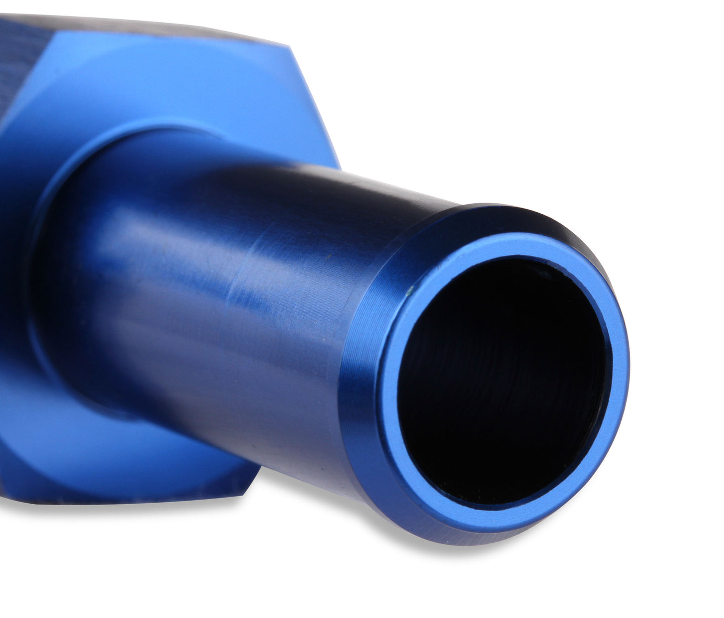 484008_0218113.jpg