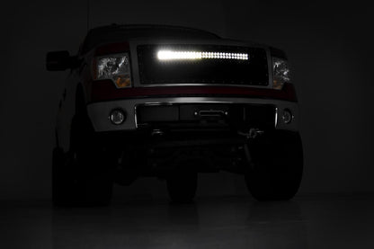 Ford Mesh Grille w/30 Inch Dual Row Black Series LED 09-14 F-150 Rough Country