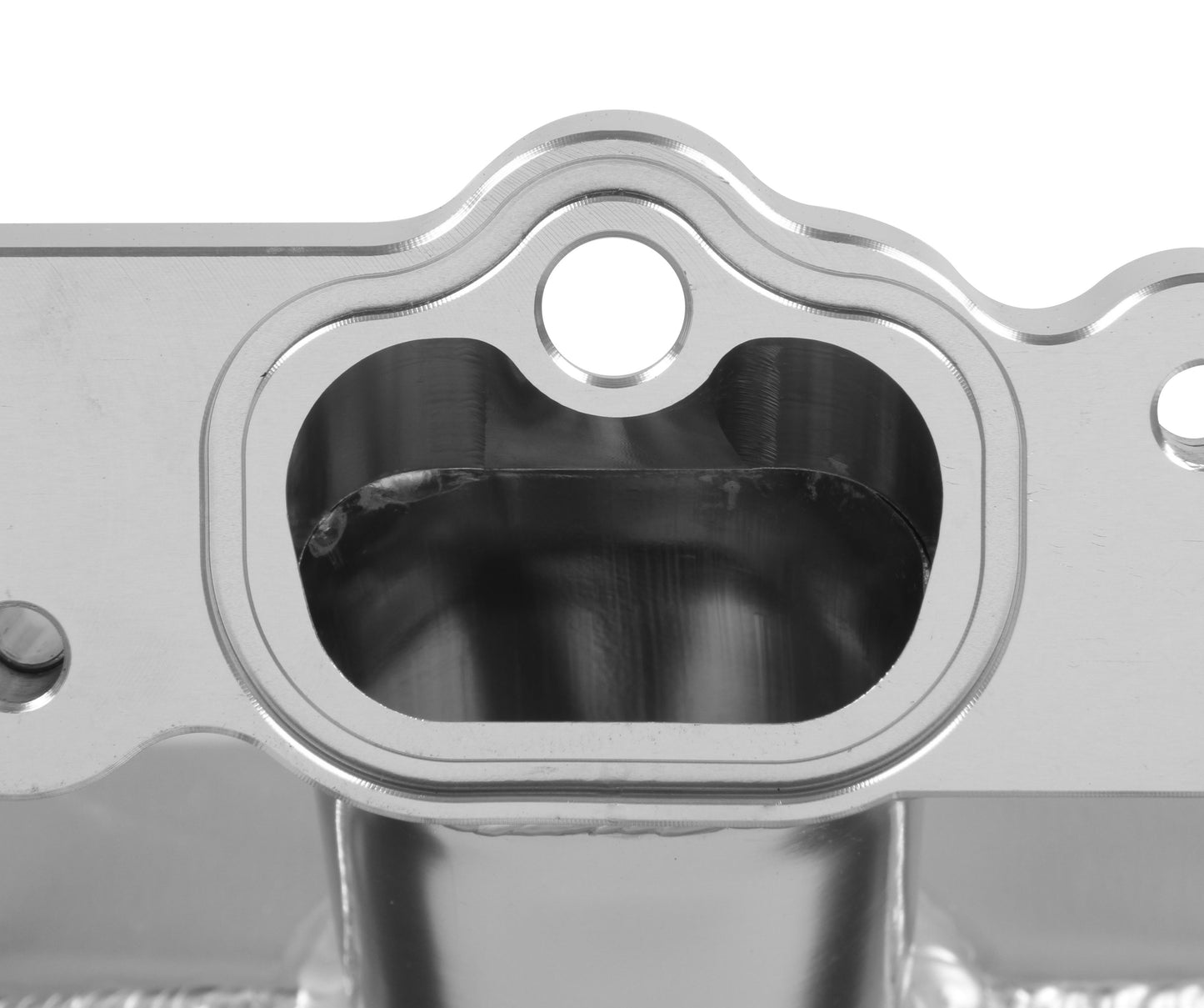 833151_07.jpg