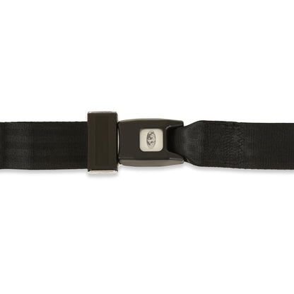 BELT100BLACK_02.jpg
