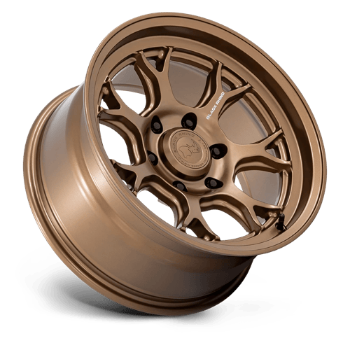 ETOSHA 17X8.5 6X5.5 106 -10 M-BRNZ