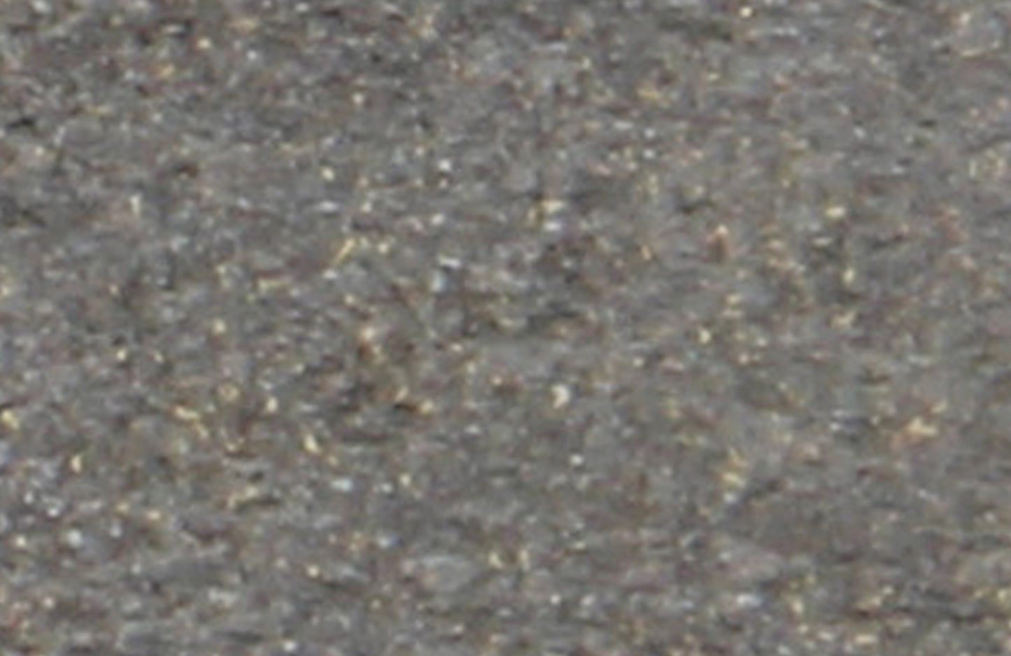D250-0535_3.jpg