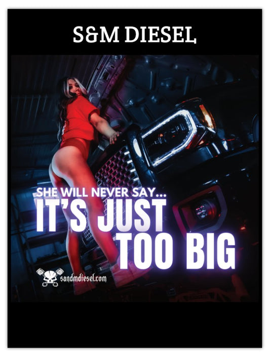 Shop Poster- It's Just Too Big