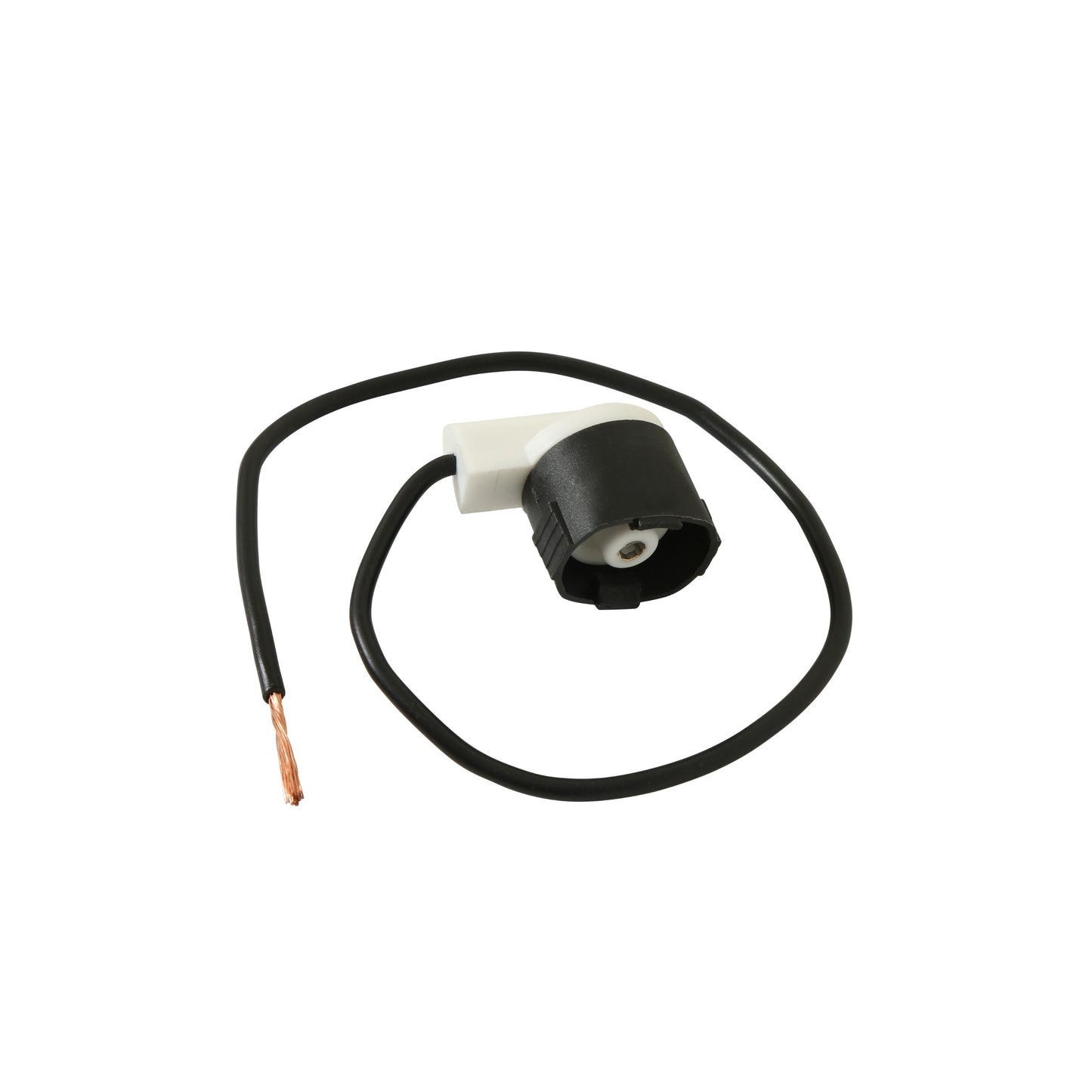 KORN559DISC_07_P01_ANG.jpg