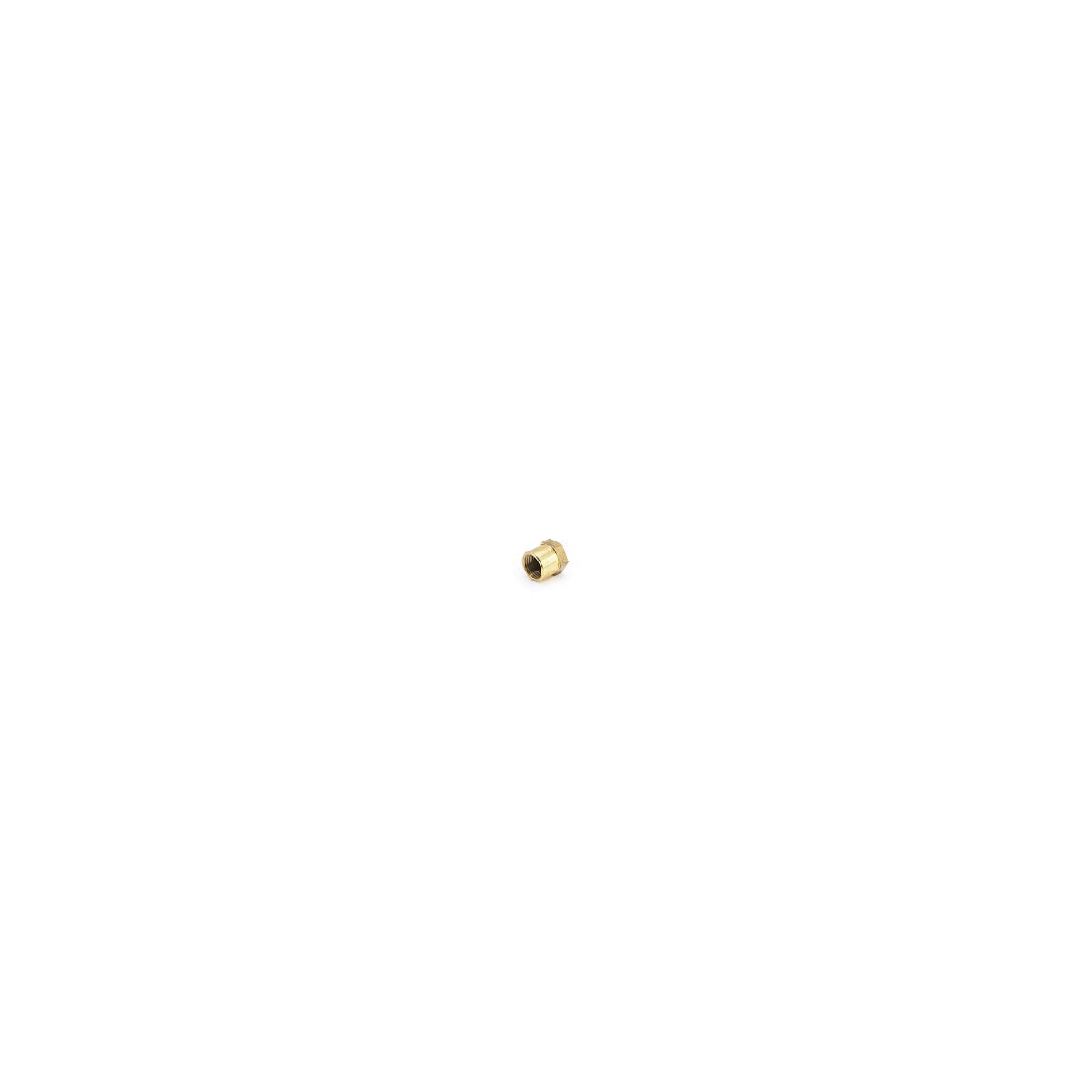 RFAB Brass Fuel Test Port Cap RFB-842-RFAB