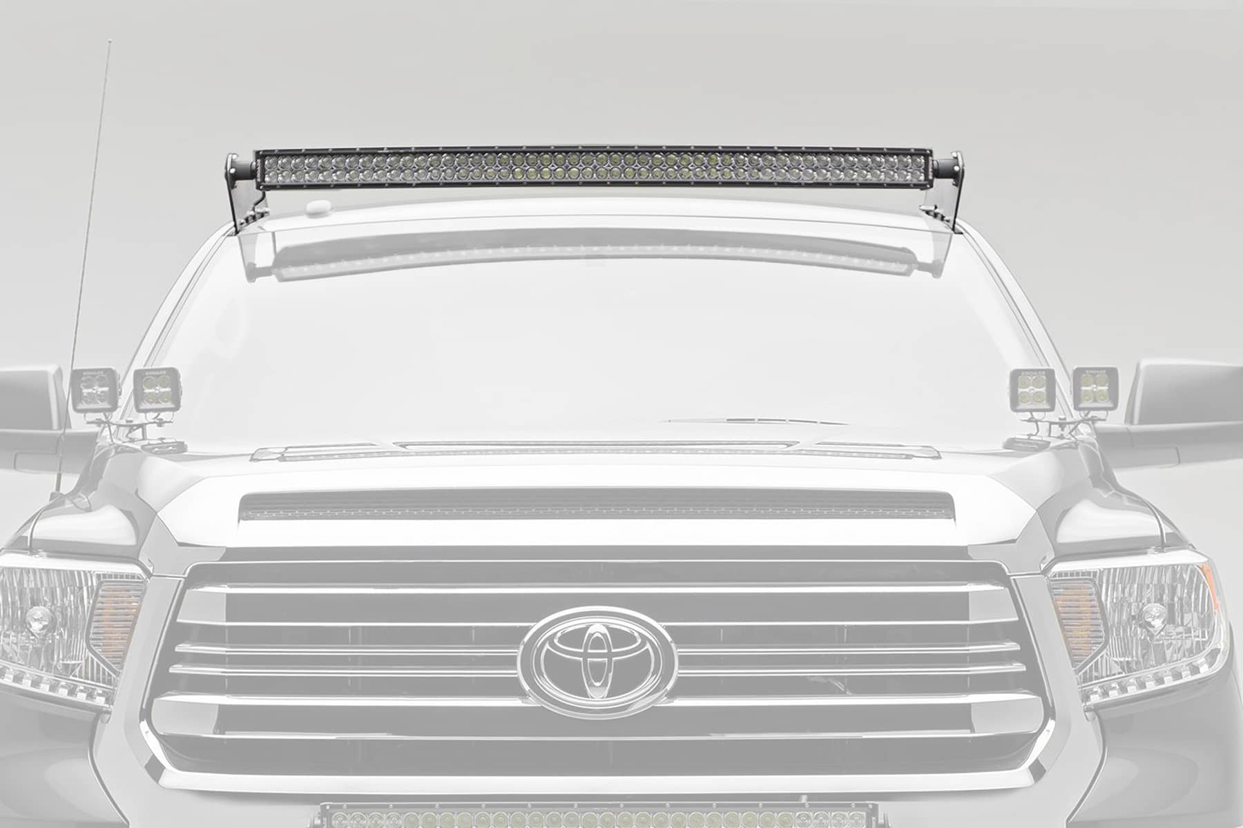 TRE-Z339141_01.jpg