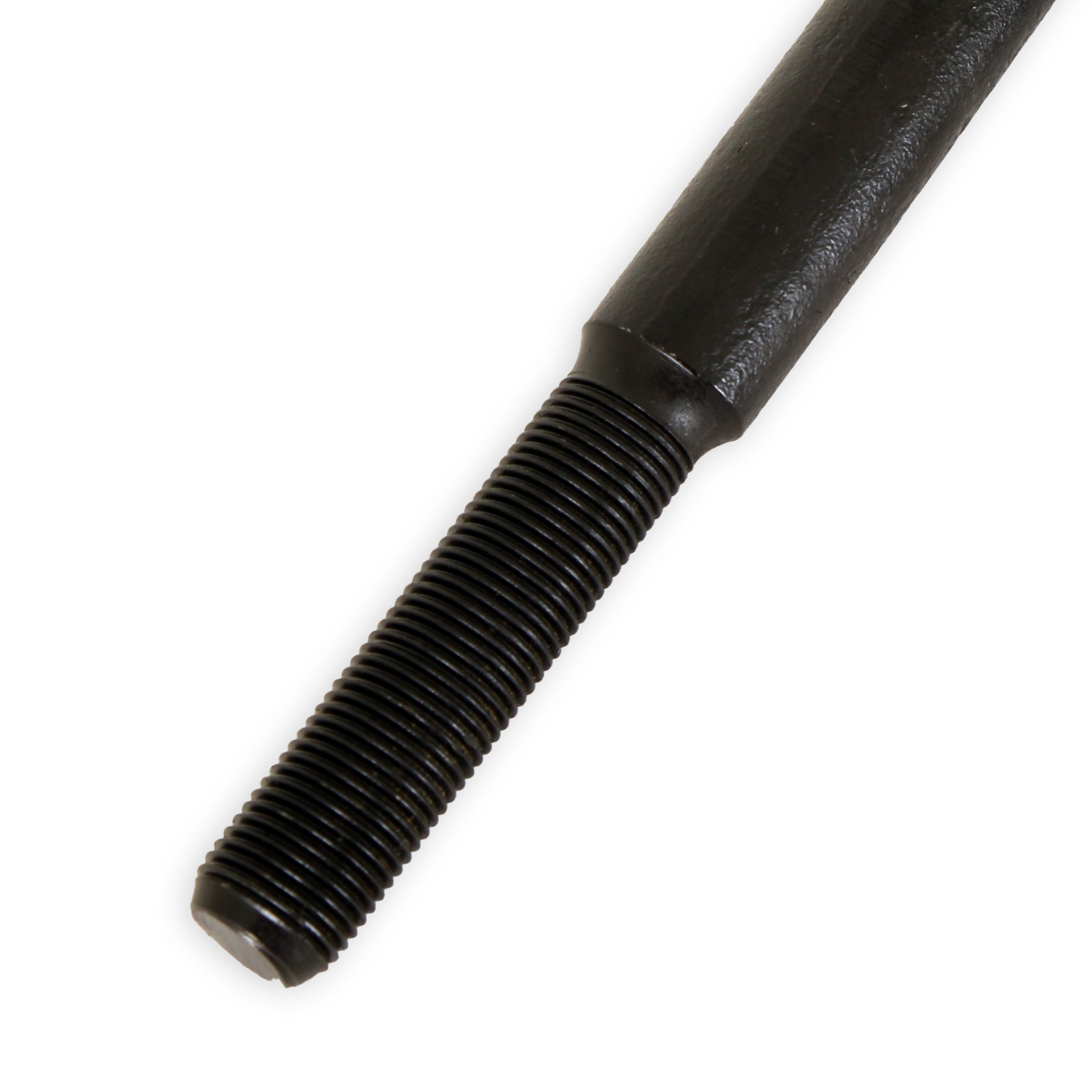 TRI6364_04.jpg