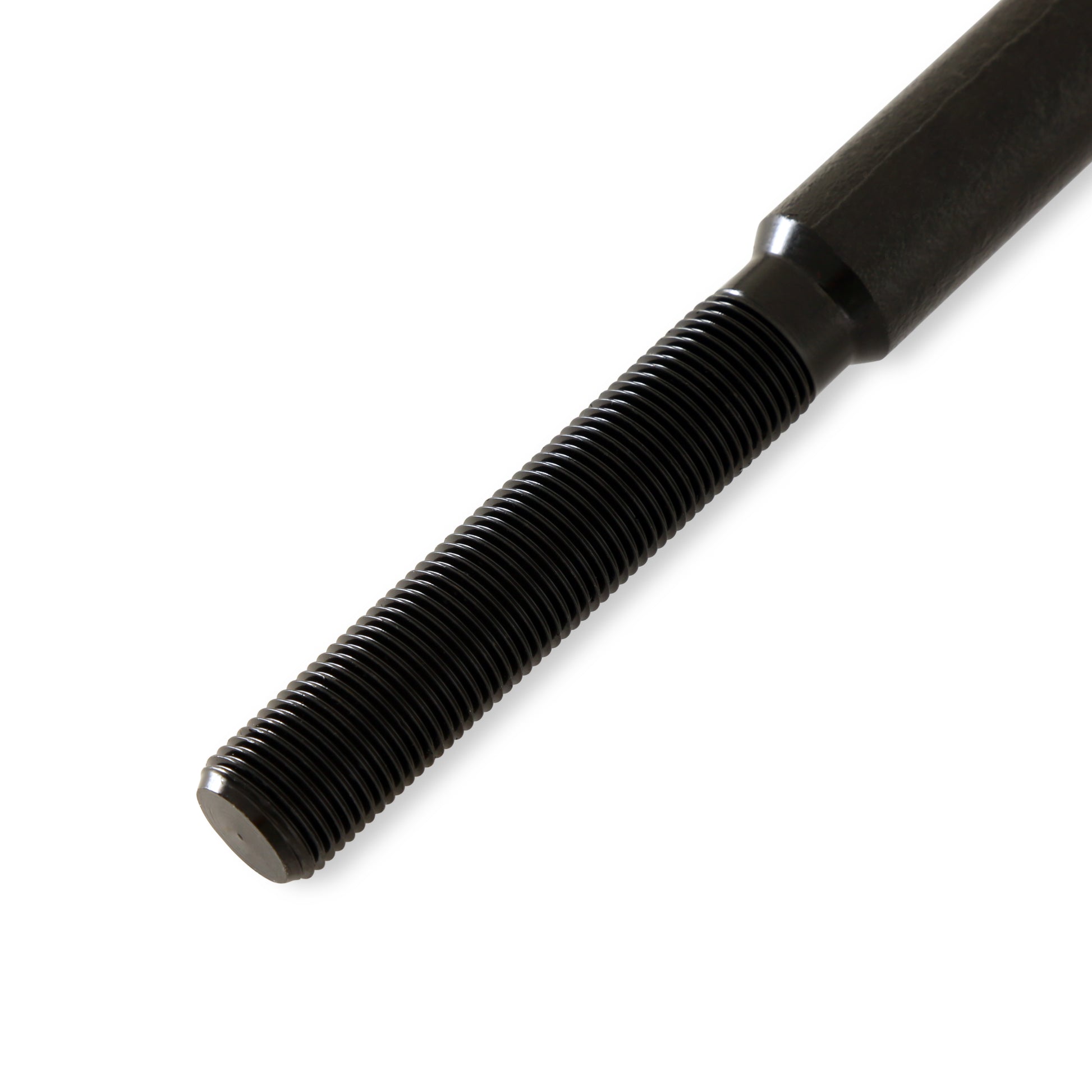 TRI6566_04.jpg
