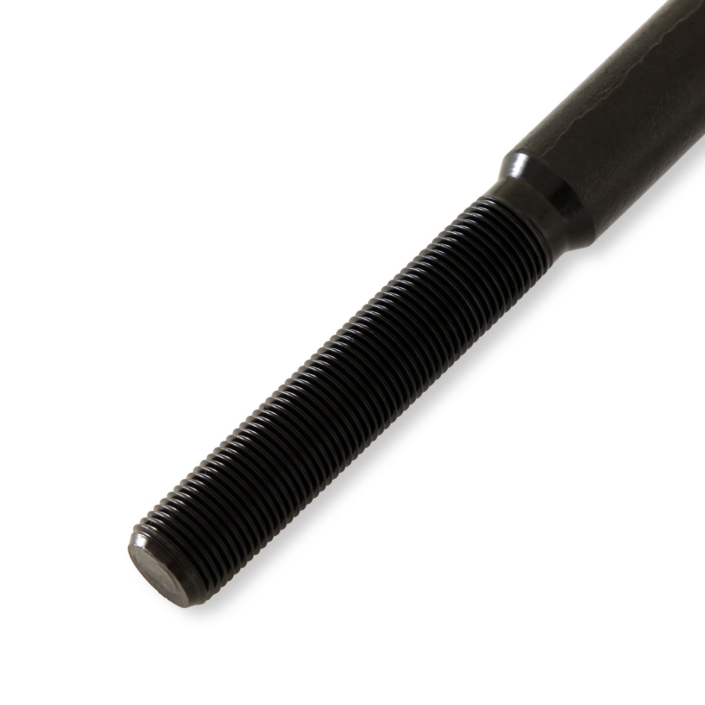 TRO6566_04.jpg