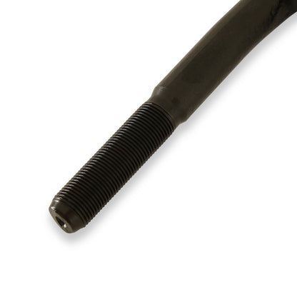 TRO7172_04.jpg