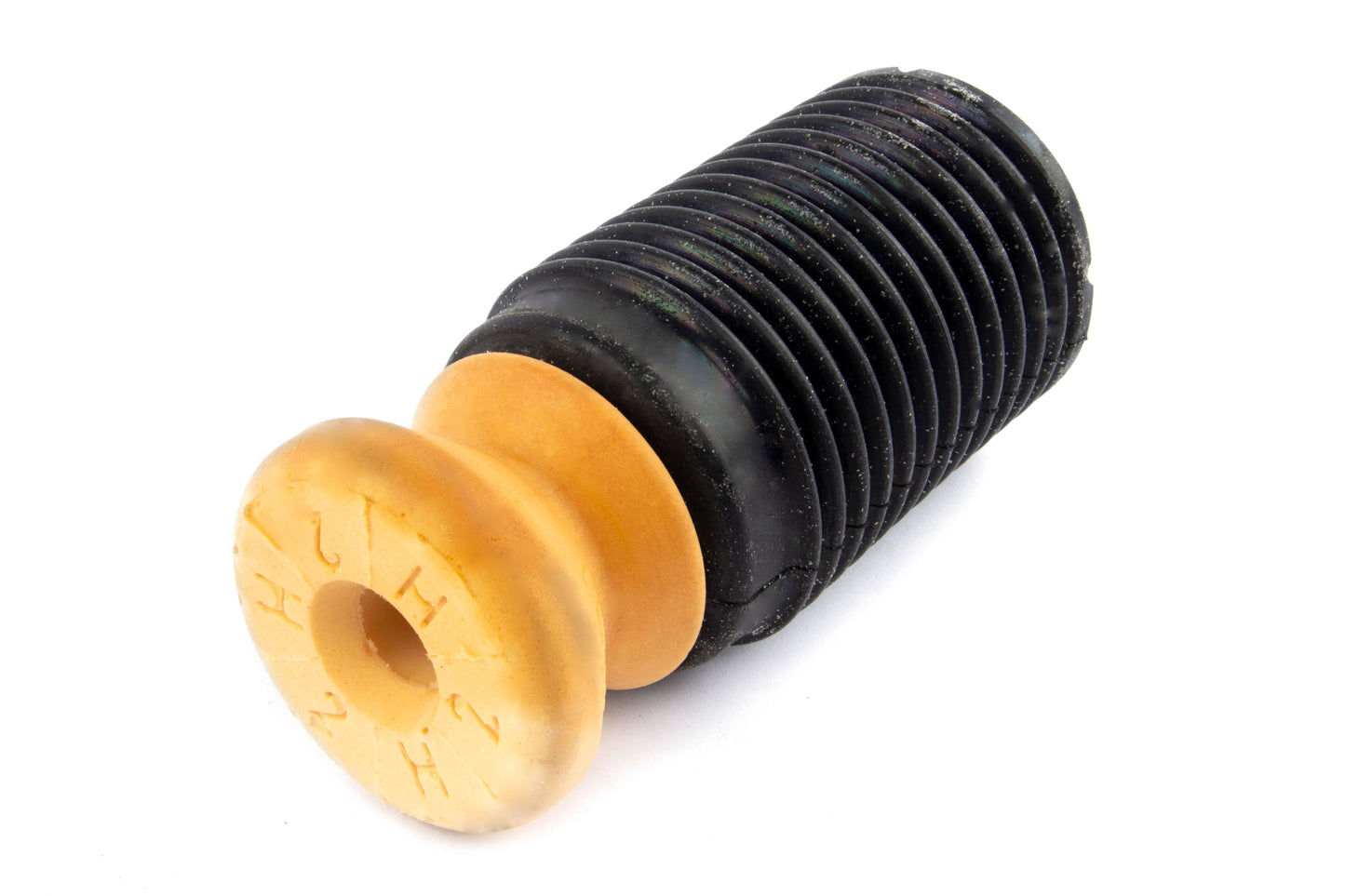 d193-9701_2.jpg