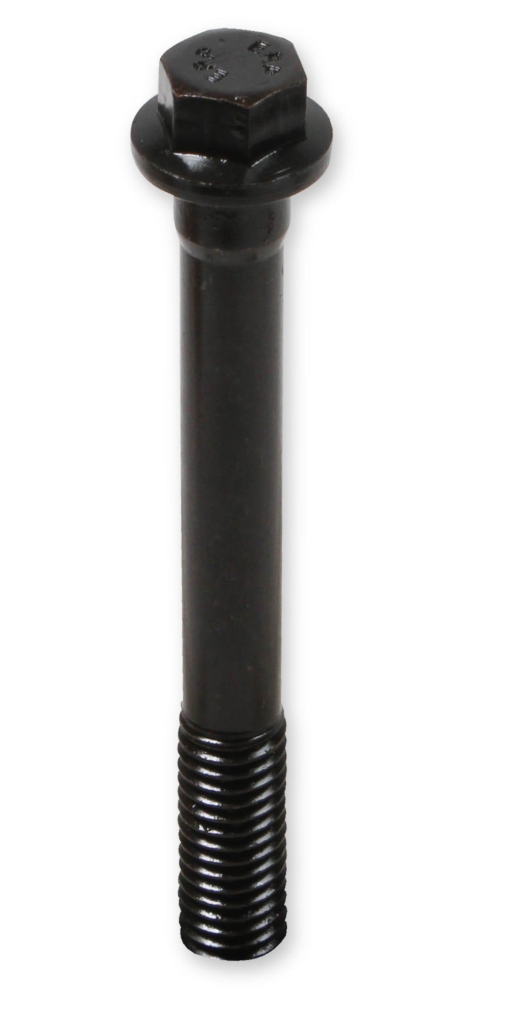 hbs-003erl_02.jpg