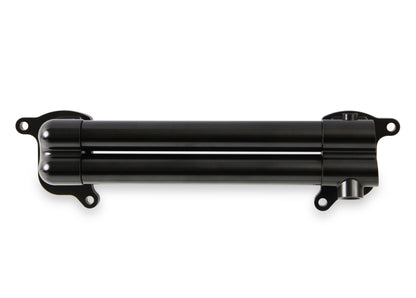 hemi0005erl_01a.jpg