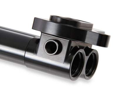 hemi0005erl_02.jpg
