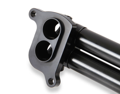 hemi0005erl_09.jpg