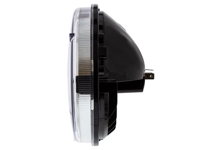 hled795_3.jpg