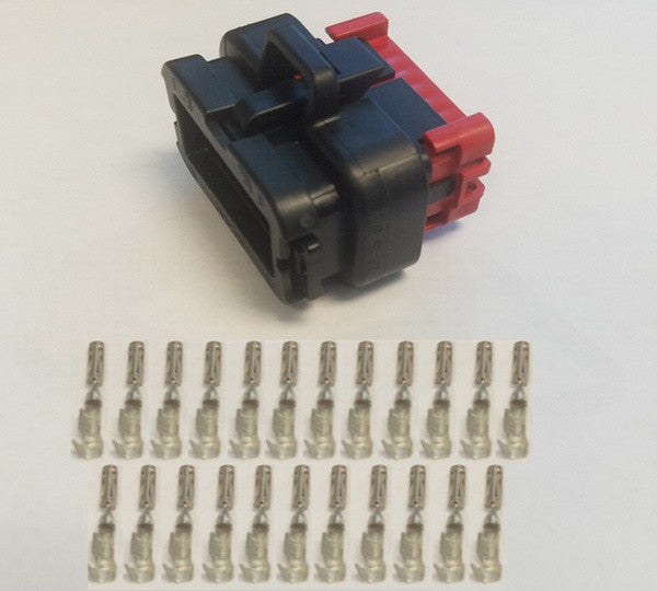 p-2023-810-cn-amp23.jpg