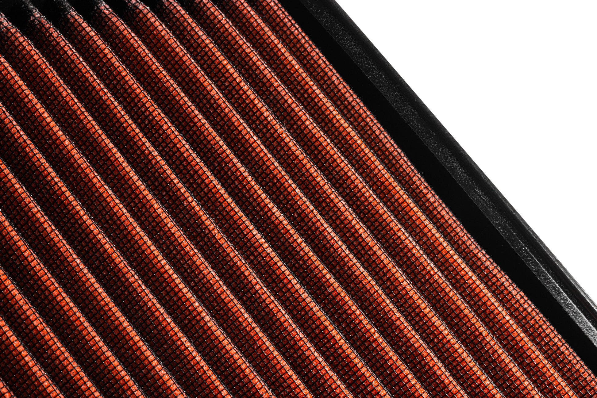 rf100023_004.jpg