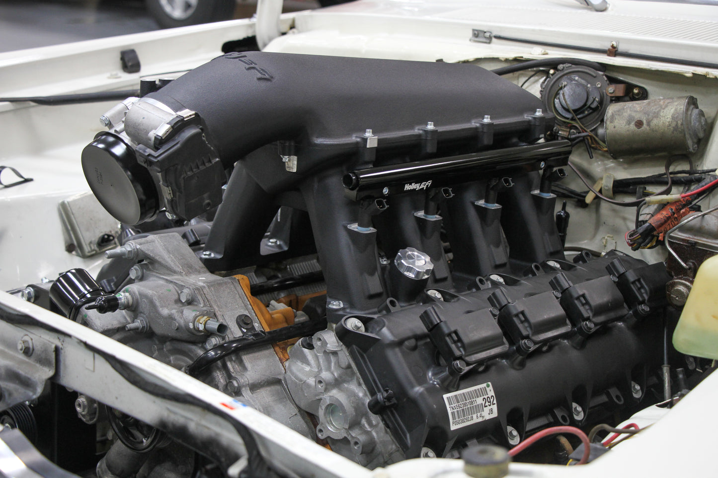 scamp_hi-ram_01.jpg