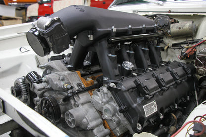 scamp_hi-ram_03.jpg