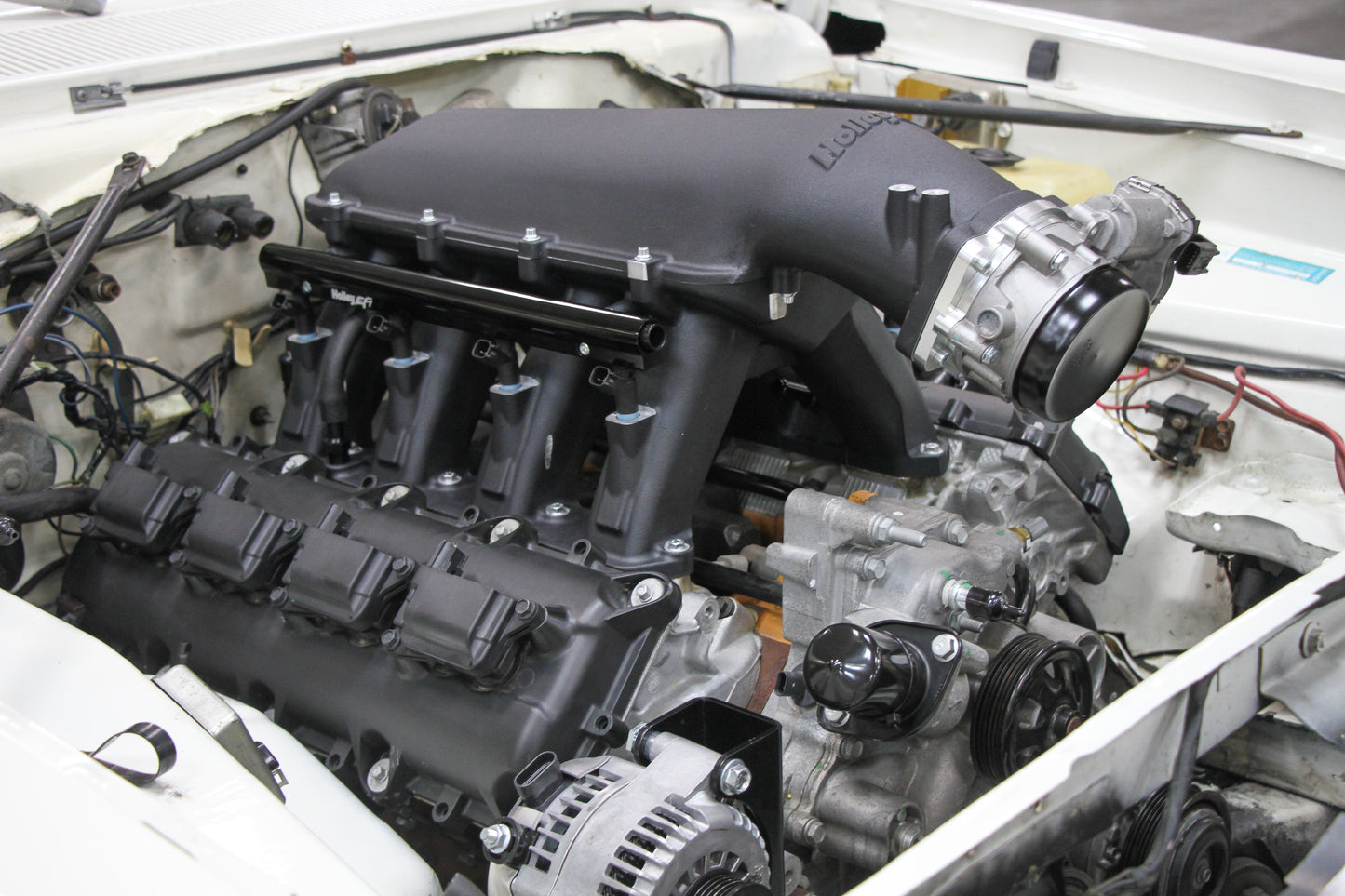 scamp_hi-ram_04.jpg