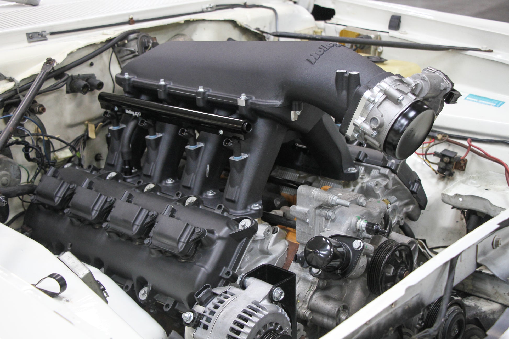 scamp_hi-ram_04.jpg