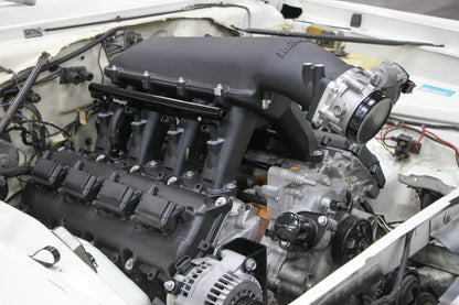 scamp_hi-ram_04.jpg