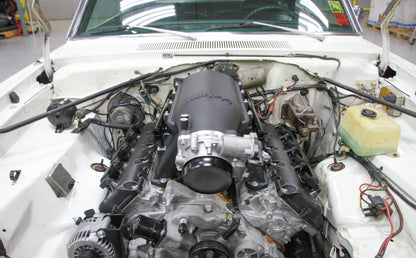 scamp_hi-ram_05.jpg