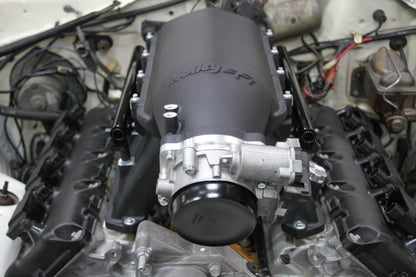 scamp_hi-ram_06.jpg