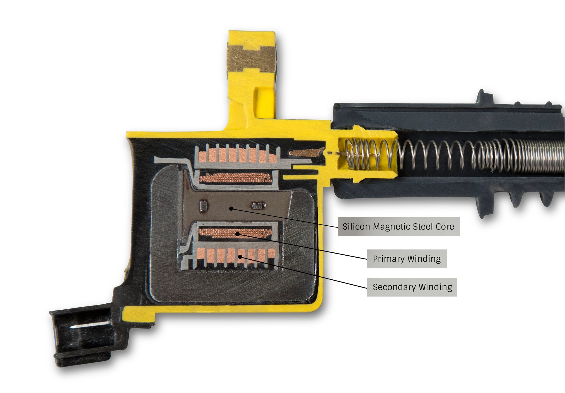 supercoil_cutaway.jpg
