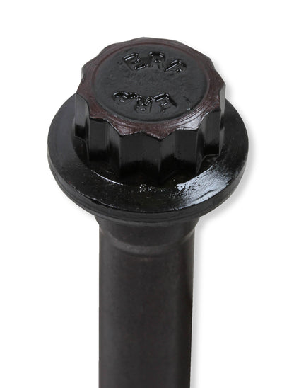 tbs-002erl_02.jpg