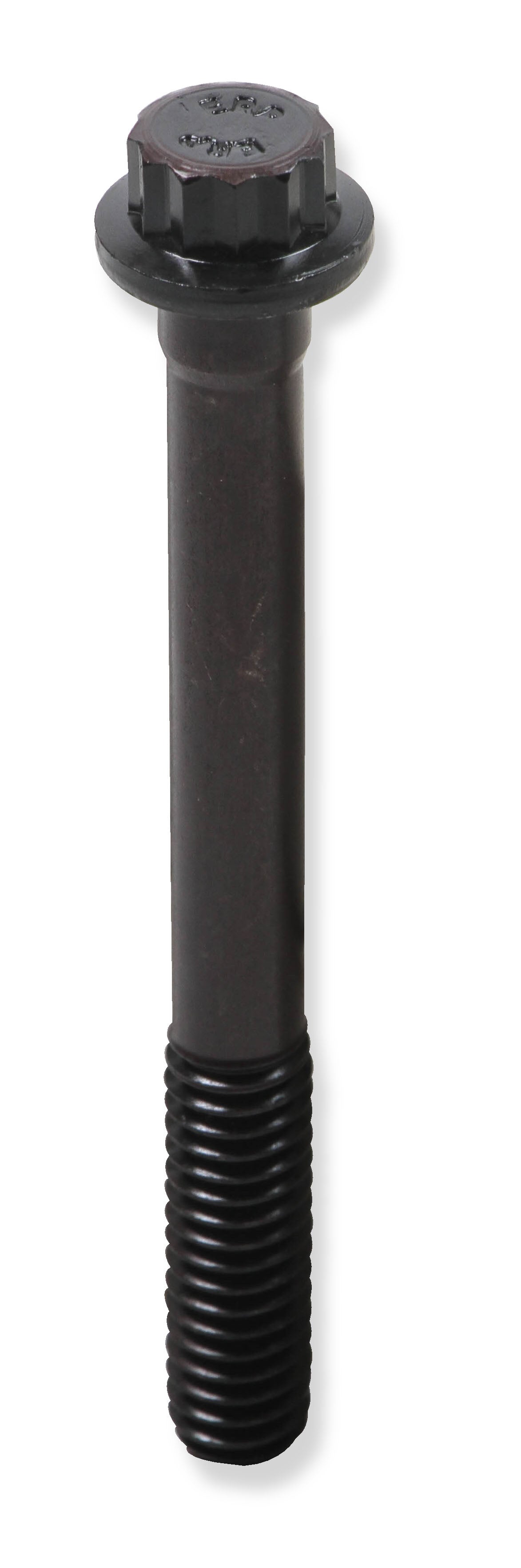 tbs-002erl_03.jpg