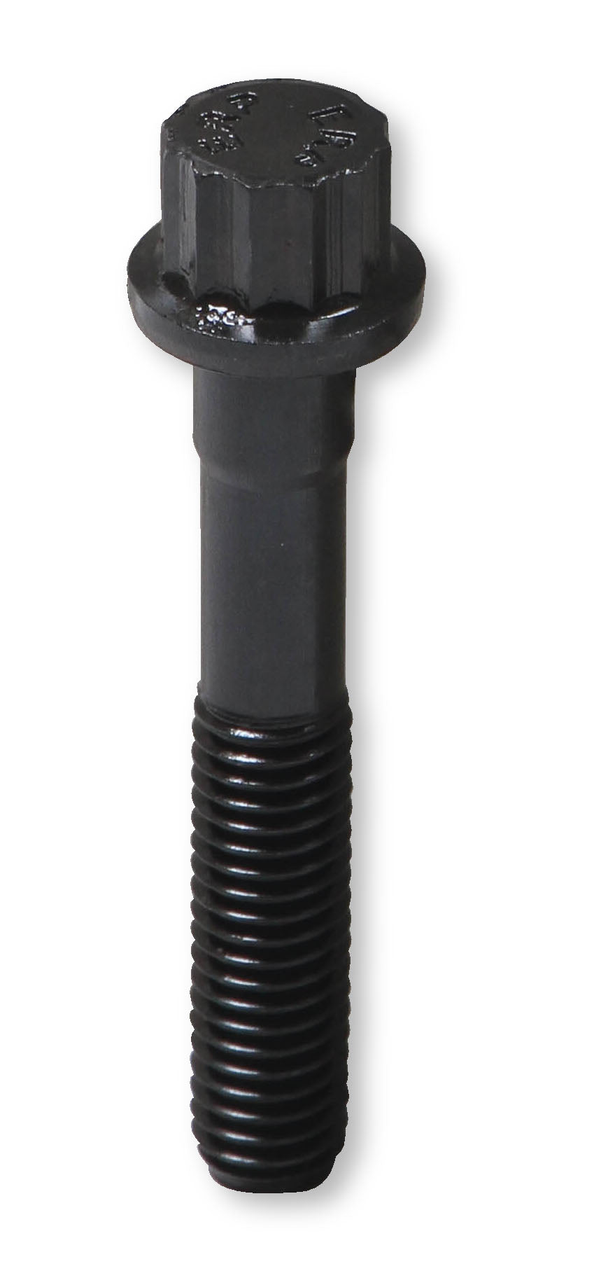 tbs-002erl_04.jpg