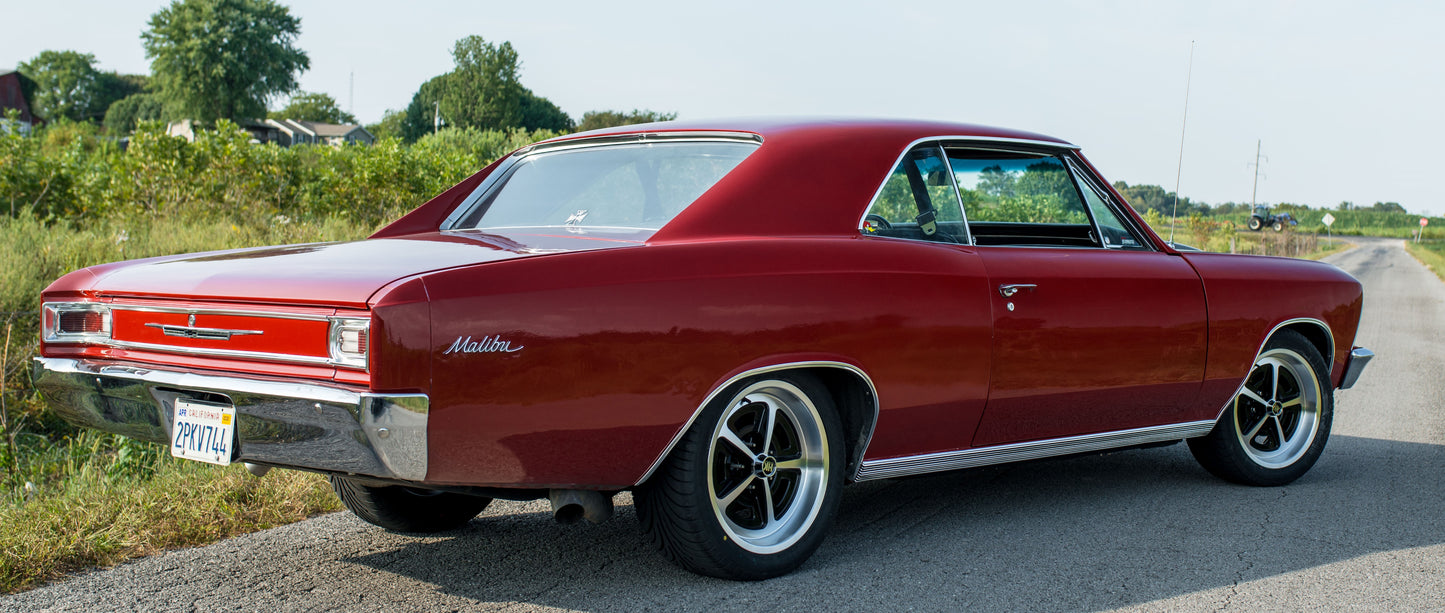 _tcp2767-1.jpg